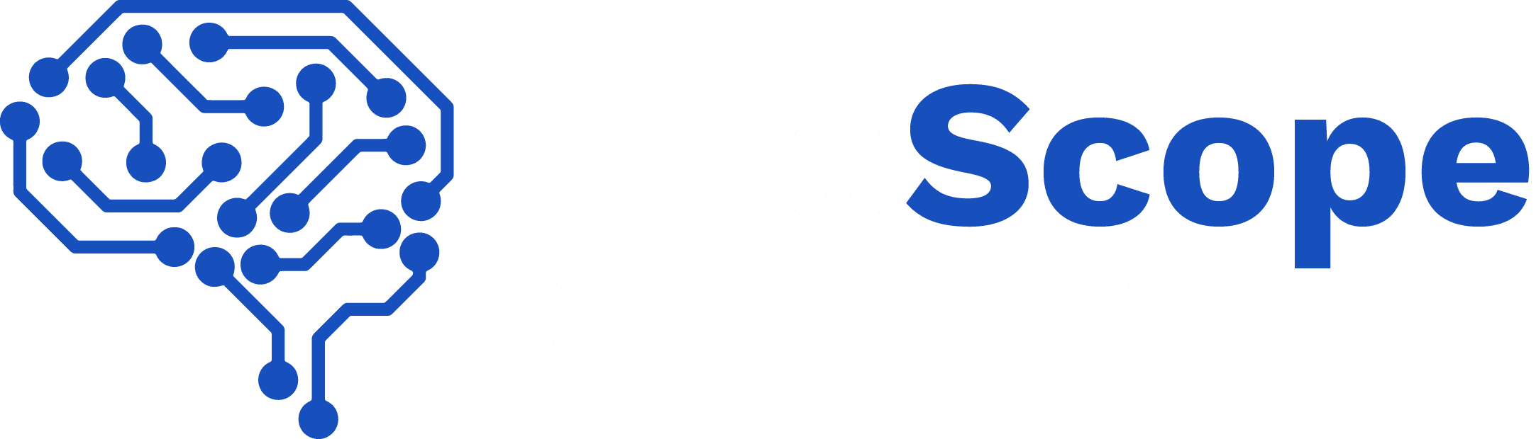 InfoScope Services LLC